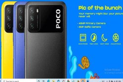 6,000mAh बैटरी के साथ POCO लाया नया बजट फोन, जानें कीमत और अन्य स्पेसिफिकेशन