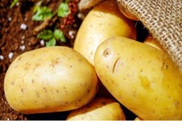 Potato, Skin Care, Lifestyle