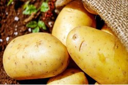 किसी फेस पैक से कम नहीं कच्चा आलू, दाग-धब्बों से छुटकारे के लिए ऐसे करें इस्तेमाल