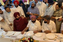punjab, congress