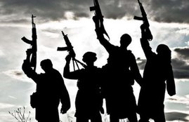 India at UN, Terrorism