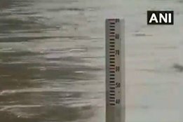 yamuna, delhi