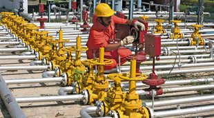 Adani Total Gas, Adani Group