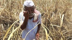 Mukhyamantri Kisan Sahay Yojana : प्राकृति‍क आपदा पर 25 हजार रुपए तक की मदद करती है गुजरात सरकार, कैसे मिलता मुआवजा