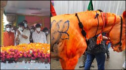 ज्योतिरादित्य सिंधिया की जन आशीर्वाद यात्रा में भगवा रंग में रंगा घोड़ा, दर्ज हुआ मामला