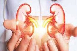 kidney diseases, renal diseases, kidney ailment