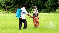 PM Kisan Yojana: मोबाइल एप के जरिए भी कर सकते हैं पंजीकरण, जानें पूरी डिटेल