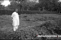 Lalu Yadav