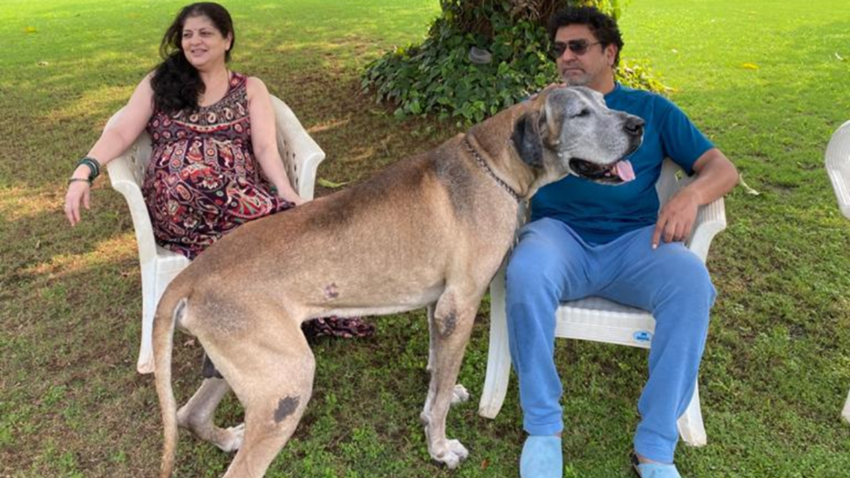 राज ठाकरे और उनकी पत्नी अपने पेट डॉग जेम्स के साथ।