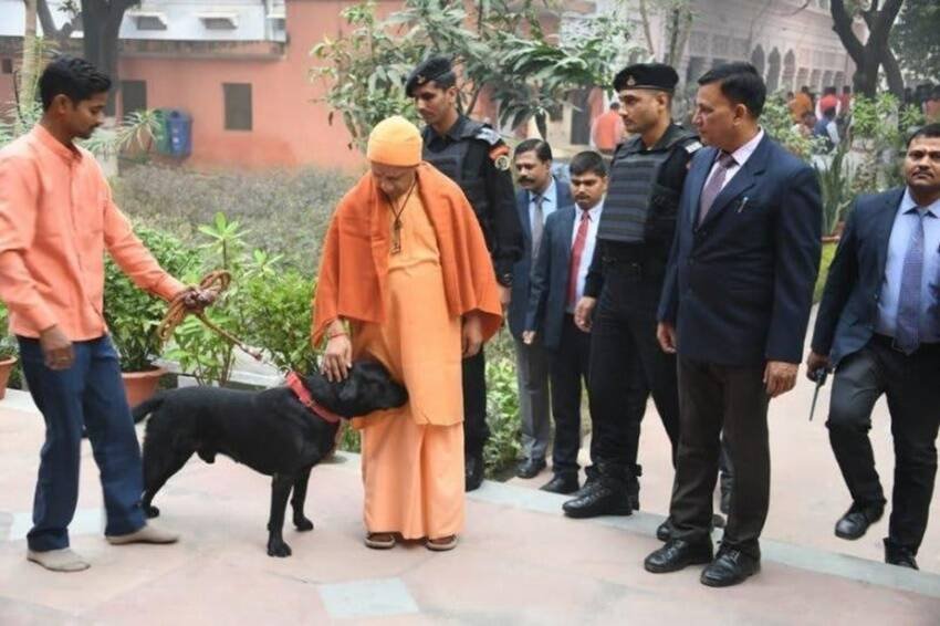 यूपी के सीएम योगी आदित्यनाथ के पालतू कुत्ते का नाम कालू है। (यह भी पढ़ें: दोनों कान में हमेशा सोने की बाली पहनते हैं योगी आदित्यनाथ, जानिए कितने के हैं यूपी सीएम के ये कुंडल )