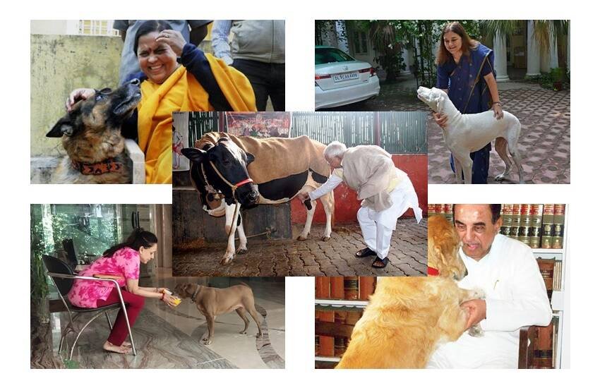 देश के तमाम दिग्गज राजनेता ऐसे हैं जिन्होंने घर पर जानवर पाल रखे हैं। इनमें धर्मेंद्र (Dharmendra) की सांसद पत्नी हेमा मालिनी (Hema Malini) से लेकर योगी आदित्यनाथ (Yogi Adityanath) और सुब्रमण्यम स्वामी (Subramaniam Swamy) से राहुल गांधी (Rahul Gandhi) और लालू प्रसाद यादव (Lalu Prasad Yadav) तक के नाम शामिल हैं। आइए देखें अपने पालतू जानवरों के साथ देश के 10 राजनेताओं की तस्वीरें: