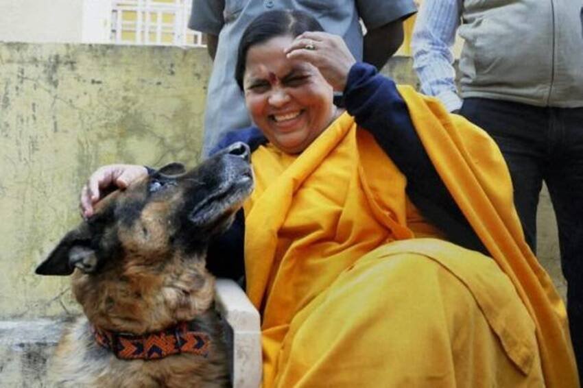 बीजेपी की तेजतर्रार नेता उमा भारती प्रेस कॉन्फ्रेंस में भी अपने डॉगी के साथ नजर आ चुकी हैं। (यह भी पढ़ें: कभी BJP के हिंदुत्व का चर्चित चेहरा हुआ करते थे ये 6 नेता, जानिए कैसी है इनकी फैमिली लाइफ )