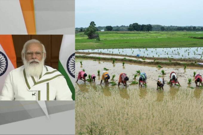 Narendra Modi, Farmers, India News Narendra Modi, Farmers, India News