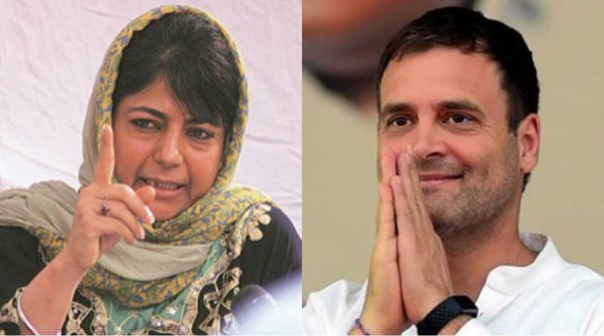 Ashoke Pandit, Rahul Gandhi, Mehbooba Mufti, कश्मीर, Kashmir Taliban, तालिबा