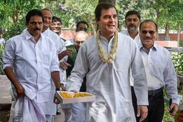 Congress, Rahul Gandhi Birthday