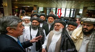 Sher Mohammad Abbas Stanikzai, taliban commander