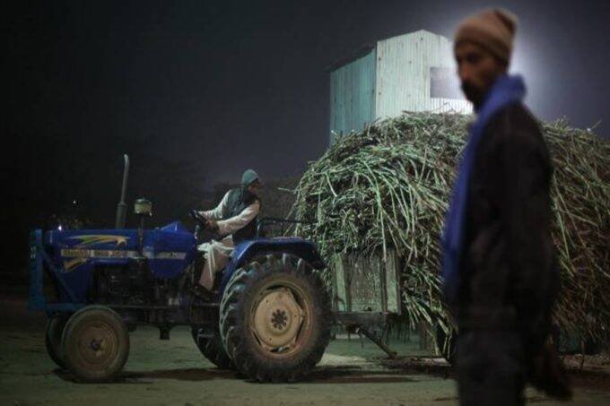 farmer
