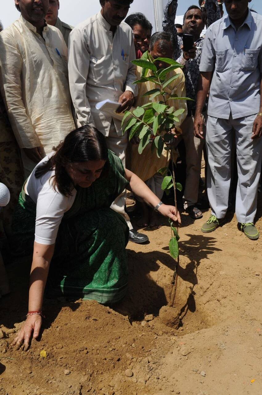 बात मेनका गांधी की करें तो उनका फेवरेट टाइम पास किताबें पढ़ना और बागवानी करना है।
