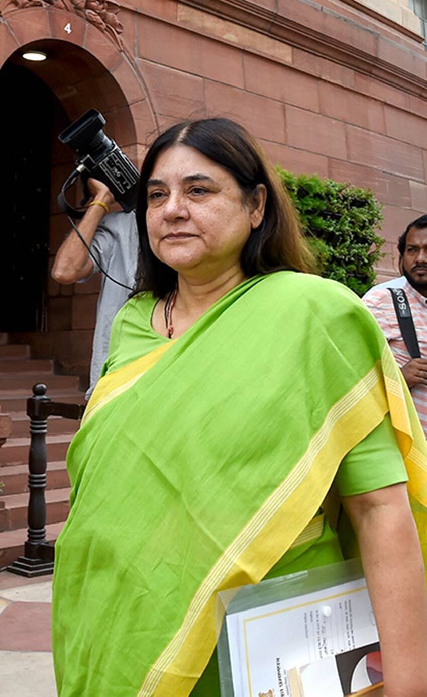 जानवरों के कल्याण और उनकी सुरक्षा से जुड़े काम करना भी मेनका गांधी को काफी पसंद है।