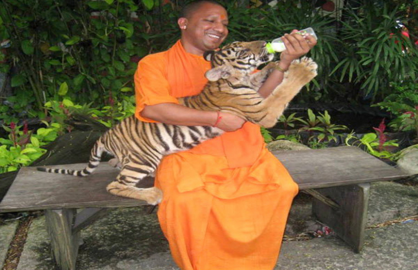 योगी ने कहा कि यदि आवश्यकता हुई तो ताजमहल का नाम भी राममहल कर दिया जाएगा। ( All Photos: PTI and social Media)