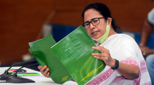 mamata banerjee, tmc, india news