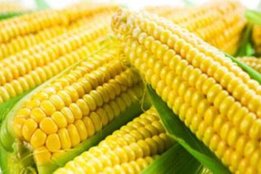 Health, Health news, blood sugar level