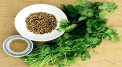 पिंपल और ऑयली स्किन से छुटकारा दिला सकता है धनिया से बना फेस पैक, ऐसे करें तैयार