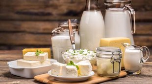 dairy Products business