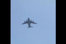 Afganistan, Taliban, Three Afghans died, Hanging from the flight, Died after falling