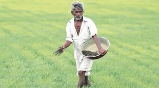 UP Farmer