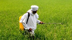 PM Kisan Yojana: हर 4 महीने के अंतराल में मिलती है किस्त, जानें सरकारी कर्मचारी के लिए क्या हैं नियम