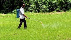 मध्यप्रदेश के किसानों के अकाउंट में सरकार ने भेजा पीएम किसान सम्मान निधि का पैसा, अब नोटिस भेजकर मांग रहे वापस