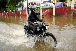 Flood, MP
