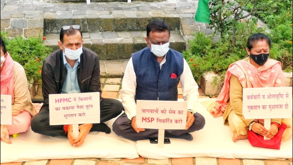 हिमाचल में अचानक सेब के दाम गिरने के विरोध में कांग्रेस नेताओं ने शिमला में मौन धरना प्रदर्शन किया। (फोटो - ट्विटर/@Shimlacongress)