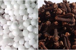 kapur ke fayde, kapoor uses, long uses, camphor Benefits. camphor uses, kapoor Ke Fayde Astrology,