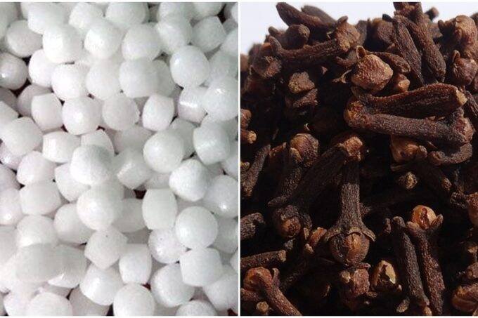 kapur ke fayde, kapoor uses, long uses, camphor Benefits. camphor uses, kapoor Ke Fayde Astrology, kapur ke fayde, kapoor uses, long uses, camphor Benefits. camphor uses, kapoor Ke Fayde Astrology,