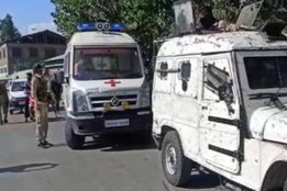kashmir