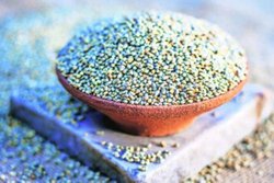 Blood Sugar Level को कंट्रोल करने में कारगर है बाजरा, एक्सपर्ट से जानिये