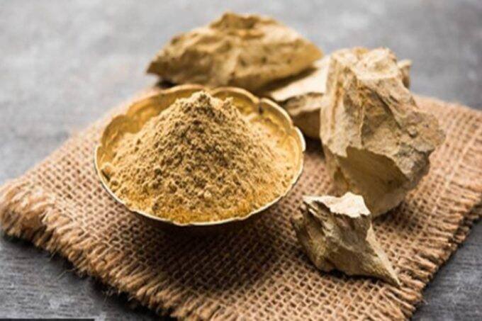 multani mitti, lifestyle, lifestyle news