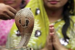 Nag Panchami, Nag Panchami 2021, Nag Panchami upay, Nag Panchami remedies, Nag Panchami 2021