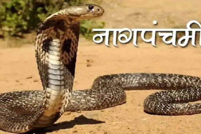 nag panchami, nag panchami katha, nag panchami ki katha, nag panchami kab hai, nag panchami 2021,