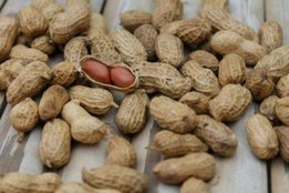 Health, Health news, Peanut