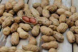 Benefits Of Peanuts: दिल के साथ ही दिमाग के लिए भी फायदेमंद होता है भीगी हुई मूंगफली का सेवन, जानिये हैरान कर देने वाले&nbsp;फायदे