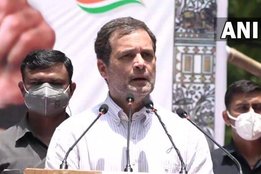 rahul gandhi, congress