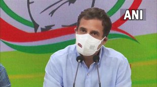 rahul gandhi, congress