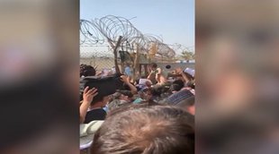 afghanistan, taliban