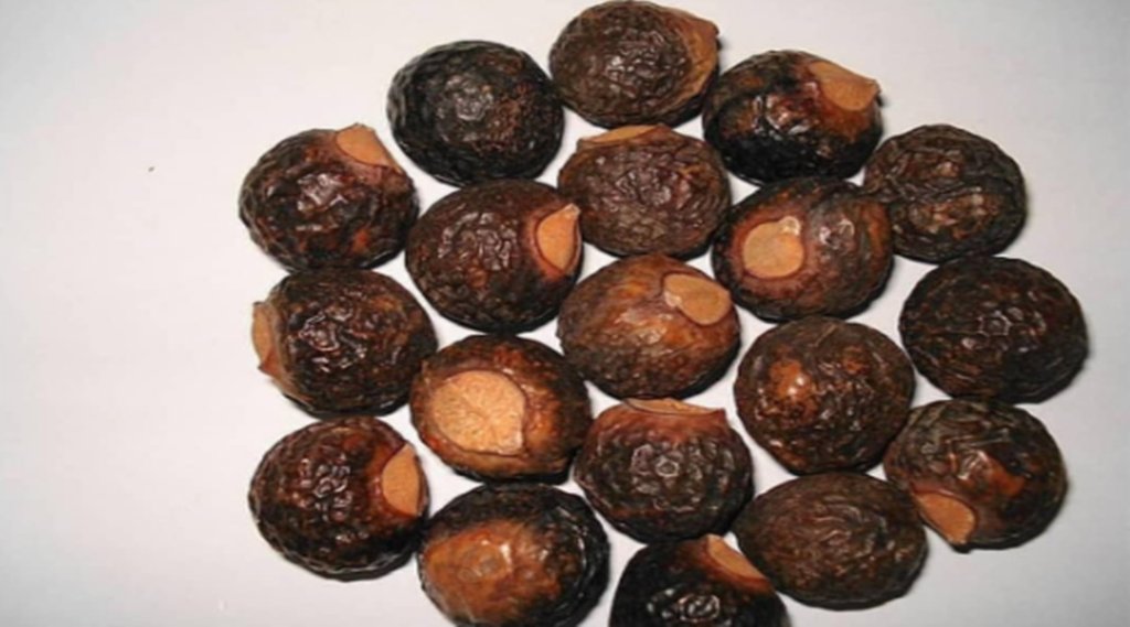 Health, Health News, Reetha Benefits