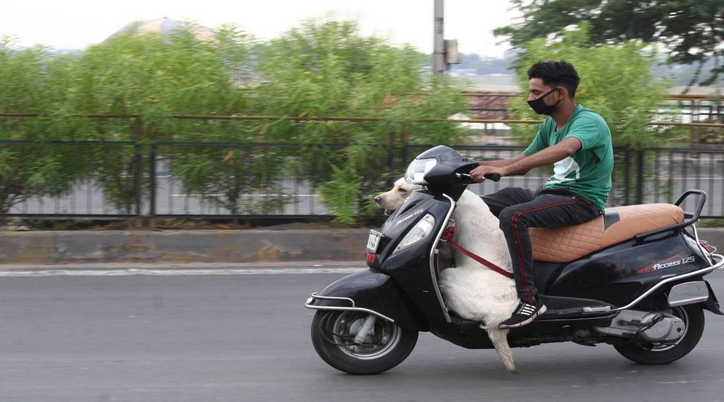 किट एक स्वैपेबल बैटरी के साथ आती है। Source: Indian Express/Javed Raja