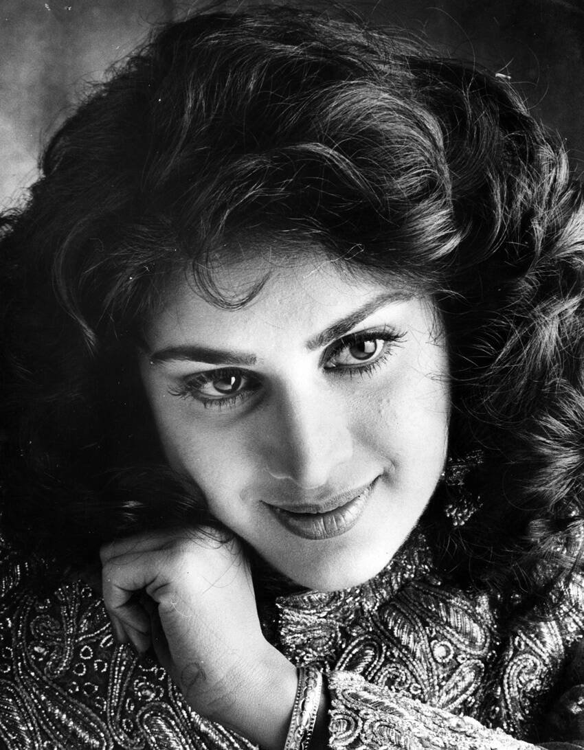 Sunny Deol, Meenakshi Seshadri