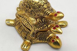 Tortoise in home, tortoise best direction according vastu shastra, Placement of a Tortoise in Your Home as per Vastu